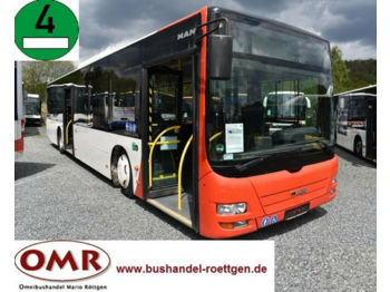 Mestský autobus MAN A 37 Lion´s City/A20/A21/Citaro/530: obrázok 1