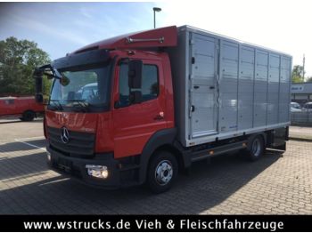 Dodávka skriňová nadstavba na prepravu zvieratá Mercedes-Benz 821L" Neu" WST Edition" Menke Einstock Vollalu: obrázok 1