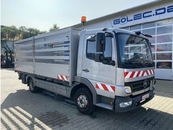 Valníkový/ Plošinový nákladný automobil Mercedes-Benz ATEGO 816 4x2 Euro 4 Pritsche 5,2 m mit LBW: obrázok 1