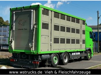 Přepravník zvířat DAF XF 105/460 SC Menke 3 Stock Hubdach