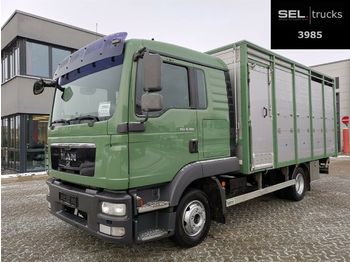 Přepravník zvířat MAN TGL 8.180 4x2 BL / 1 Stock / German