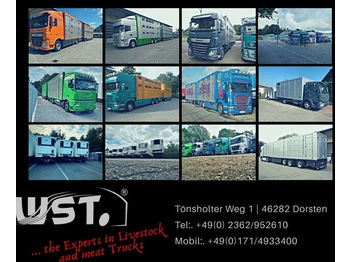 Přepravník zvířat MAN TGX 26.480 XL Menke 3 Stock Vollalu Hubdach