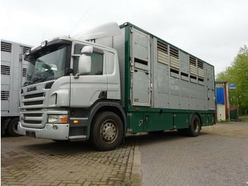 Přepravník zvířat Scania P 380 mitt Menke Doppelstock