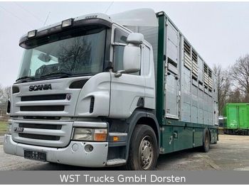 Přepravník zvířat Scania P 380 mitt Menke Doppelstock: obrázok 1