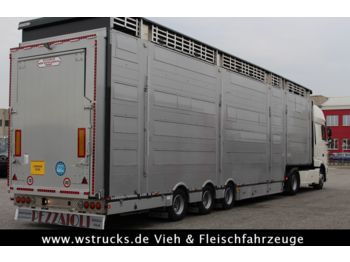 Pezzaioli SBA31-SR  3 Stock "Neu" Vermietung  - Náves na přepravu zvířat