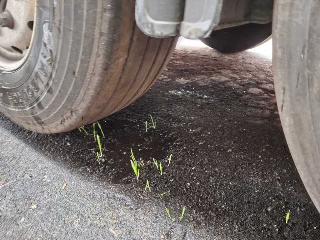 Náves s posuvnou podlahou PEISCHL 3S 35 A, SAF