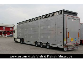 Náves na přepravu zvířat Pezzaioli SBA31-SR  3 Stock  Vermietung: obrázok 1