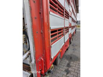 Pezzaioli SBA31 5 poziomów - Náves na přepravu zvířat: obrázok 3
