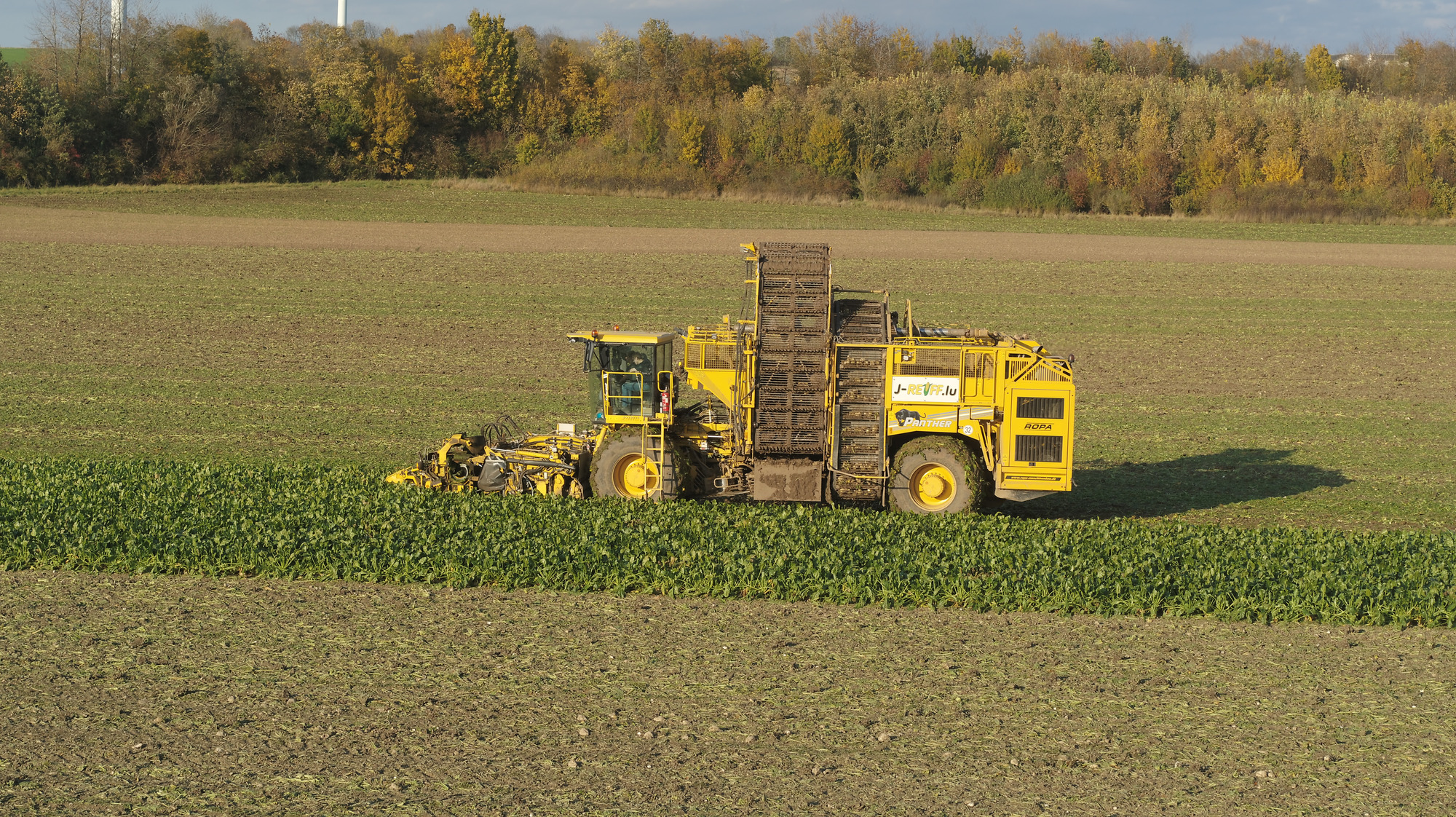 J.Reiff s. á r.l. undefined: obrázok 30