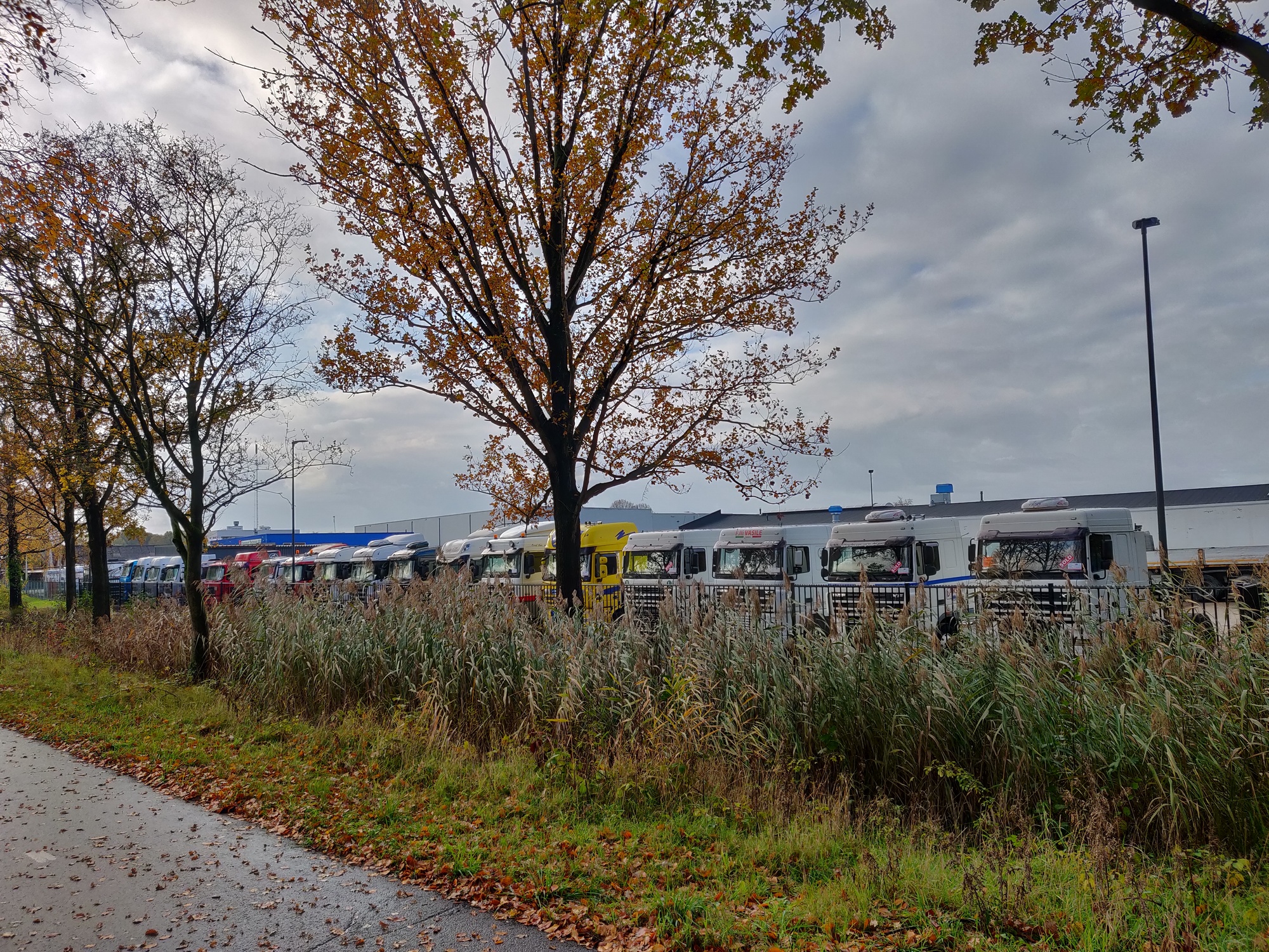Truck Trading Holland - vozidlá na predaj undefined: obrázok 17