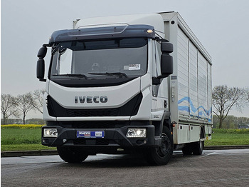 Skříňový nákladní auto IVECO EuroCargo