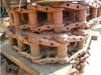 : fotografia v hlavičke