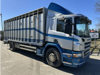 Skříňový nákladní auto SCANIA P 310