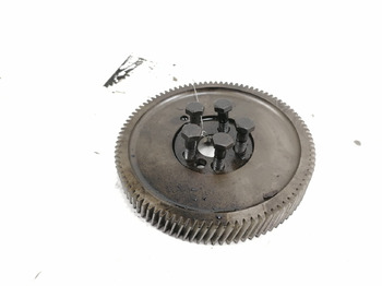 : fotografia v hlavičke