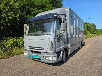 Přepravník zvířat IVECO