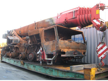 : fotografia v hlavičke