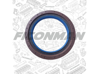 Tesnenia motora IVECO