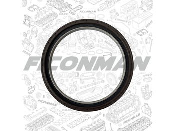 Tesnenia motora IVECO