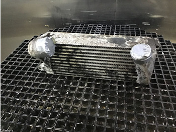 : fotografia v hlavičke