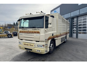 Nákladné auto na prepravu koní DAF CF 410