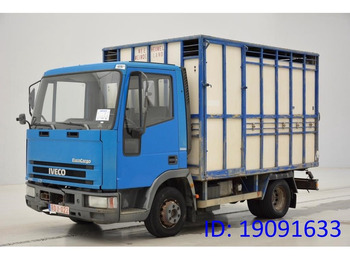 Přepravník zvířat IVECO