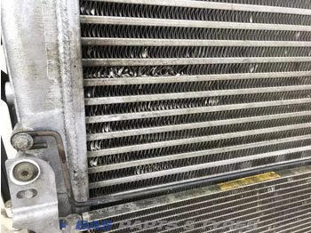 Chladič pre Nákladné auto Renault Premium (Meerdere types) Koelerpakket Renault DXi11 430 7484201975: obrázok 3