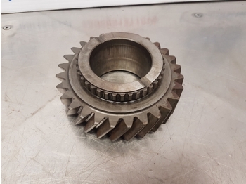 : fotografia v hlavičke