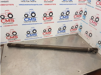 : fotografia v hlavičke