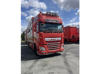 Přepravník zvířat DAF XF 460