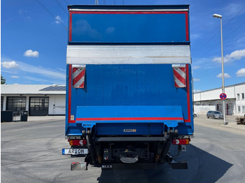 Skříňový nákladní auto Iveco Stralis 420 Koffer/Thermoisoliert/LBW/NLA/AC/EU6: obrázok 5
