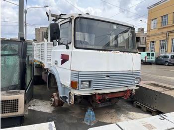Minibus IVECO