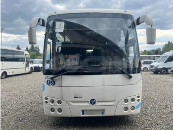 Mestský autobus TEMSA