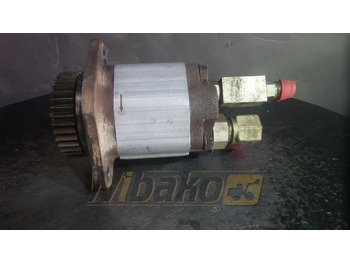 : fotografia v hlavičke