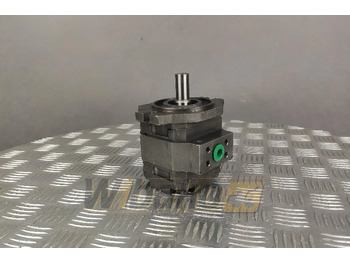 : fotografia v hlavičke