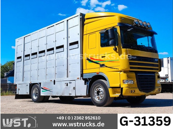 Nákladné auto na prepravu koní DAF XF