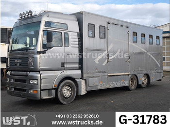 Nákladné auto na prepravu koní MAN TGA 26.480