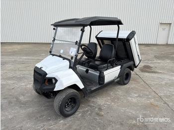Golfový vozík 2022 Yamaha UMX 4x2 Electric Buggy Electrique ATV: obrázok 3