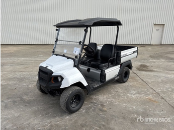 Golfový vozík 2022 Yamaha UMX 4x2 Electric Buggy Electrique ATV: obrázok 2