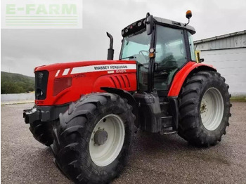 Traktor MASSEY FERGUSON 6465