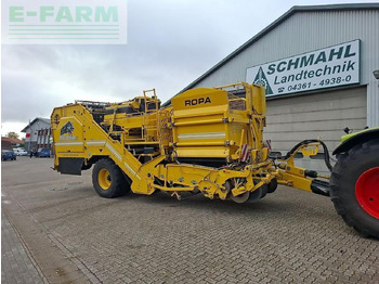 : fotografia v hlavičke