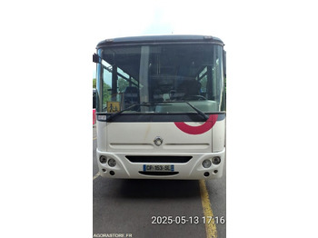 Minibus IVECO
