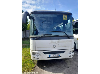 Minibus IVECO