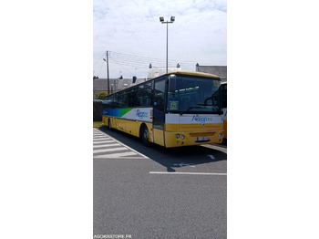 Minibus IVECO