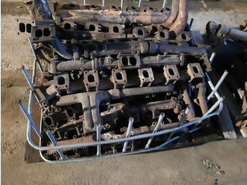 : fotografia v hlavičke