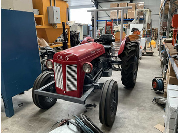 Traktor MASSEY FERGUSON
