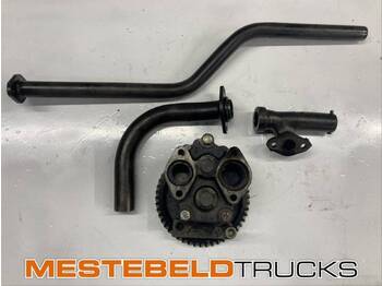 : fotografia v hlavičke