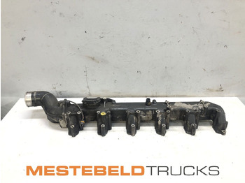 : fotografia v hlavičke