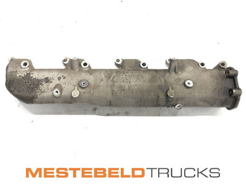 : fotografia v hlavičke