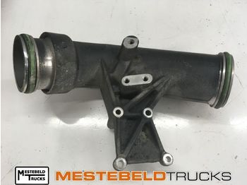 : fotografia v hlavičke