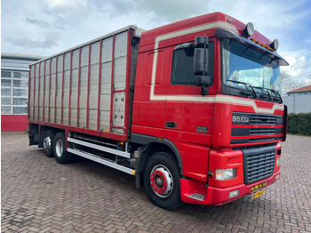 Přepravník zvířat DAF XF 95 380